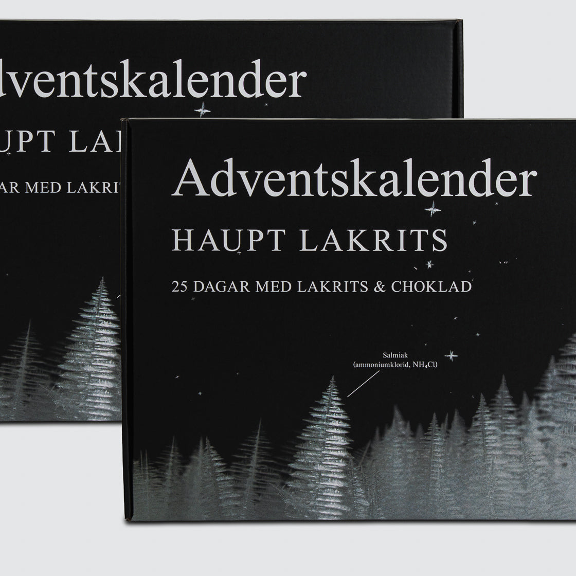 Advent Calendar 2026 X 2